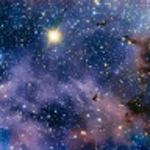 Meet your Posher, Rena